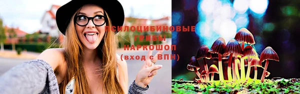 МДПВ Алзамай
