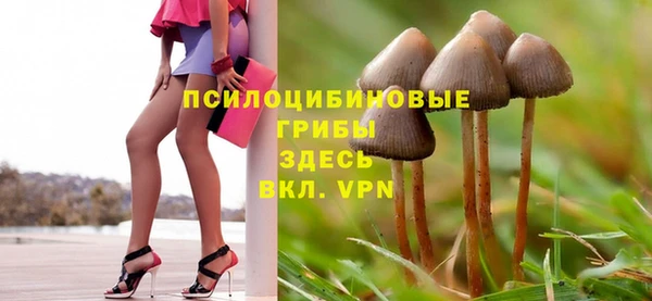 шишки Алексеевка