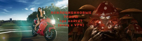 МДПВ Алзамай