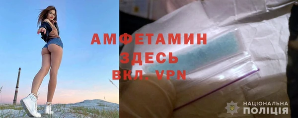 шишки Алексеевка