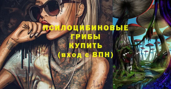 МДПВ Алзамай