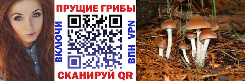 Галлюциногенные грибы Magic Shrooms  Спасск 
